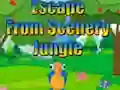 Spel Escape from Scenery Jungle online