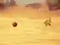 Spel Monkey Shooting online