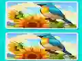 Spel Spot the Difference The Garden online