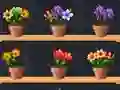 Spel Good Flower Master online