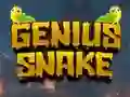 Spel Genius Snake online