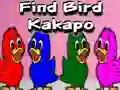 Spel Find Bird Kakapo online