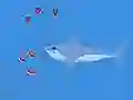 Spel Oceans Shees online