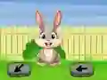 Spel Springtime Escape online