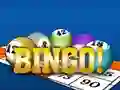 Spel Bingooo 2024 online