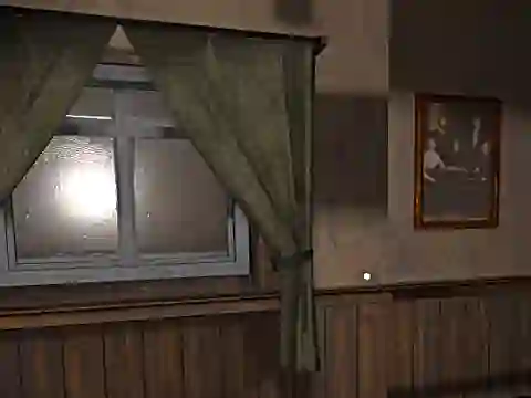 Spel Hide and Seek Pro online