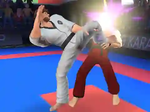 Spel Karate Fighter online