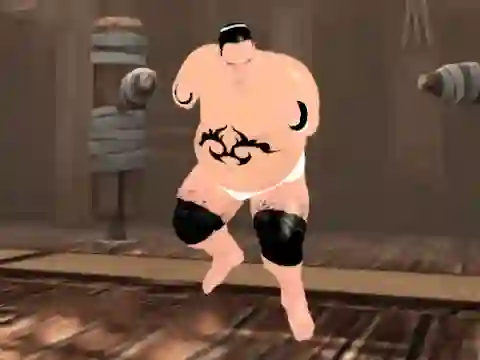 Spel Sumo Fury online