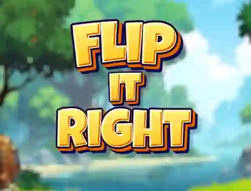 Spel Flip It Right online