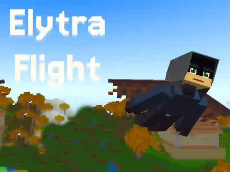 Spel Elytra Flight online