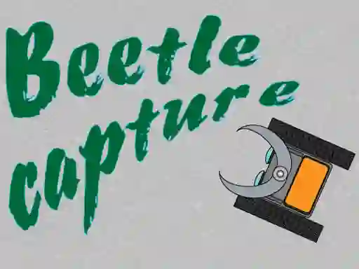 Spel Beetle Capture online