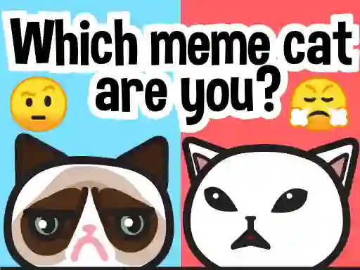 Spel Which Meme Cat Are You? online