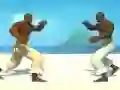 Spel Capoeira fighter online