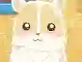 Spel Hamster Love online