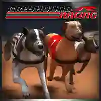 Spel Greyhound Racing online