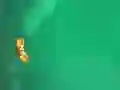 Spel Anti Body online