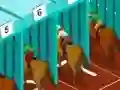 Spel Derby racing online