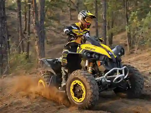 Spel ATV Offroad Puzzle online