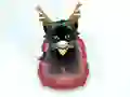 Spel Pet Sledding online