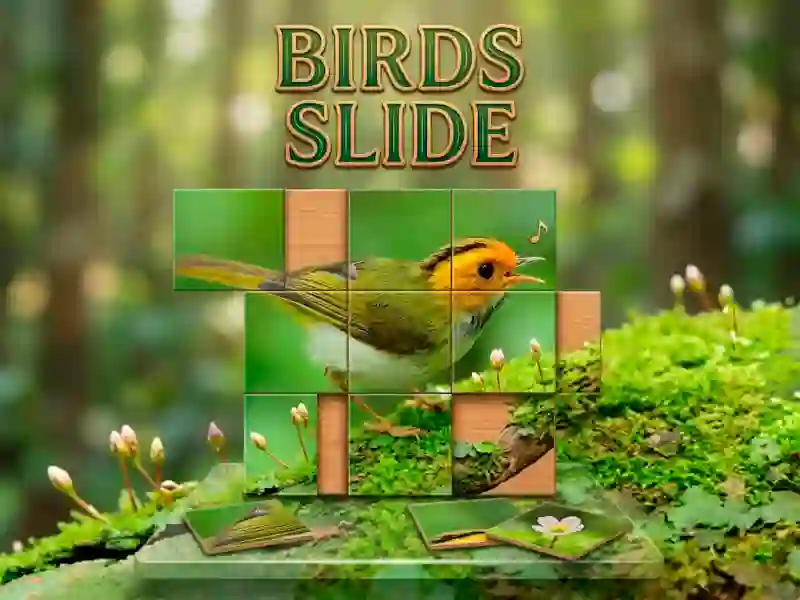 Spel Birds Slide online