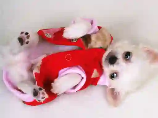 Spel Lovely Puppy Slide online
