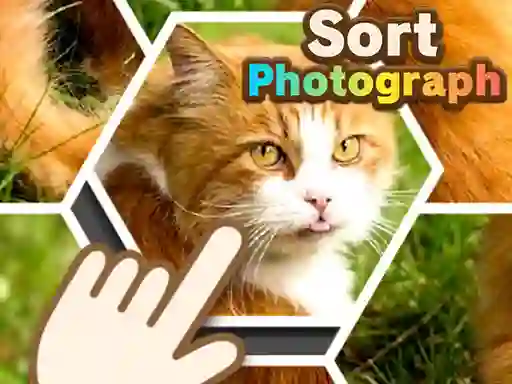 Spel Sort Photograph online