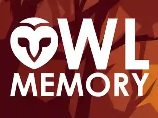 Spel Owl Memory online