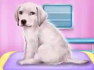 Spel Labrador at the doctor salon online
