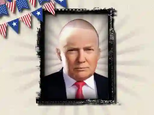 Spel The President of the USA online