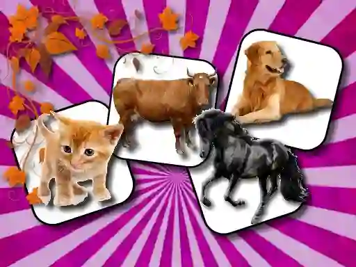 Spel Domestic Animal Memory Challenge online