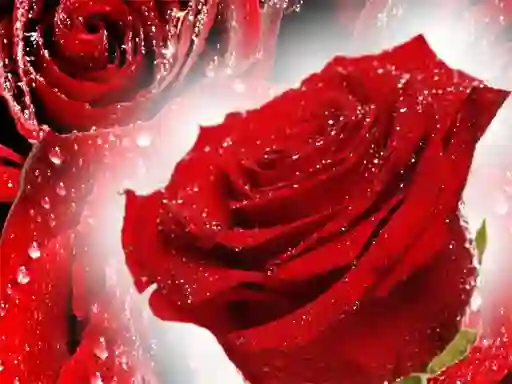Spel Red Roses online
