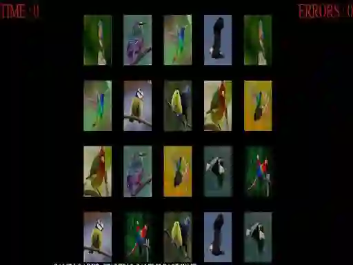 Spel Memorize the birds online