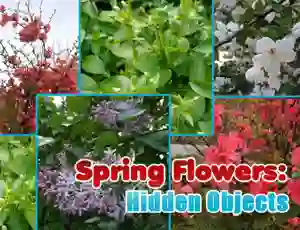 Spel Spring Flowers: Hidden Objects online