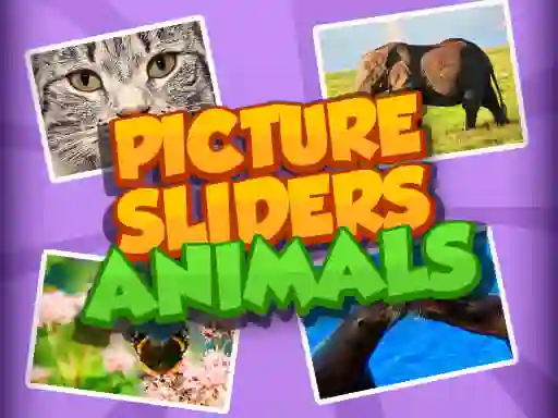 Spel Picture Slider Animals online
