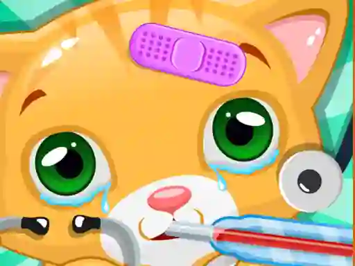 Spel Little Cat Doctor online