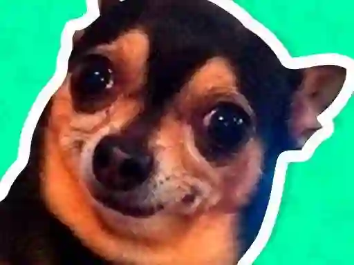 Spel What meme dog are you ? online