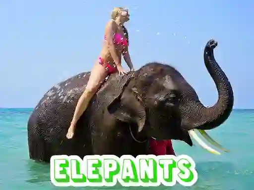 Spel Elephants Puzzle online