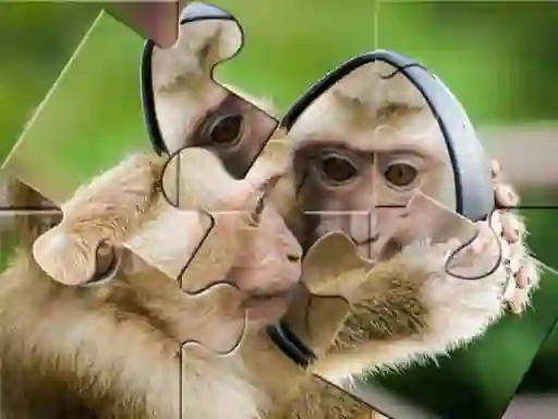 Spel Chimpanzee Jigsaw online