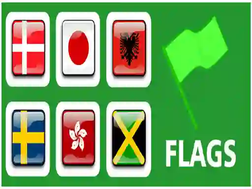 Spel Flags online