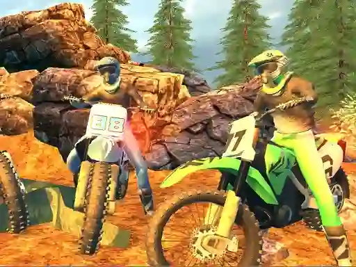 Spel Offroad Motorcycle Bike Racing 2020 online