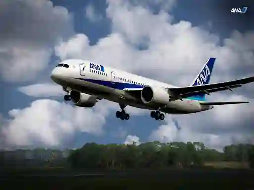 Spel Boeing Dreamliner Puzzle online