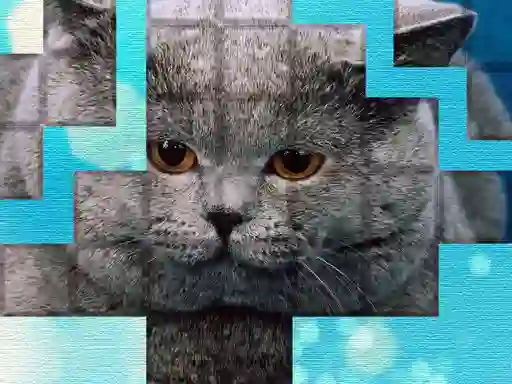 Spel PicPu Cat online
