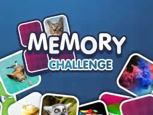 Spel Memory Challenge online