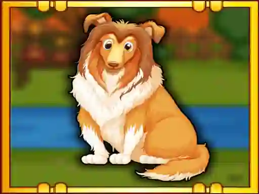 Spel Bernese Mountain Dog Escape online