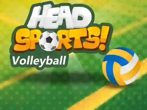 Spel Head Sports Volleyball online