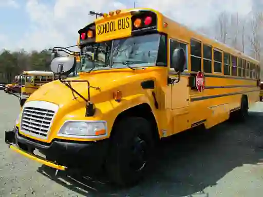Spel School Buses Puzzle online