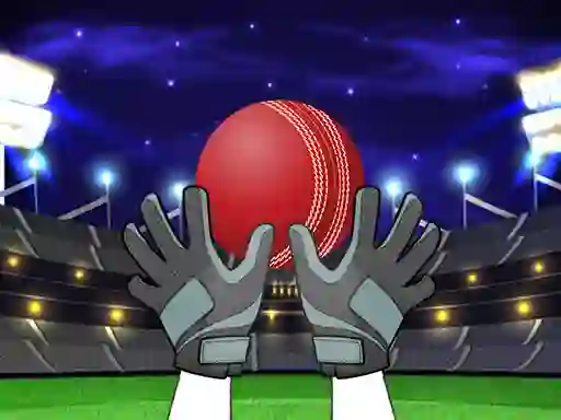 Spel Catch The Balls online
