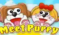 Spel Meet Puppy online