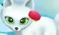 Spel Paws to Beauty Arctic Edition online