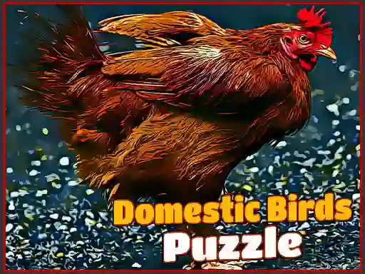 Spel Domestic Birds Puzzle online